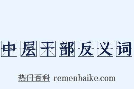中层干部反义词是什么意思的图片